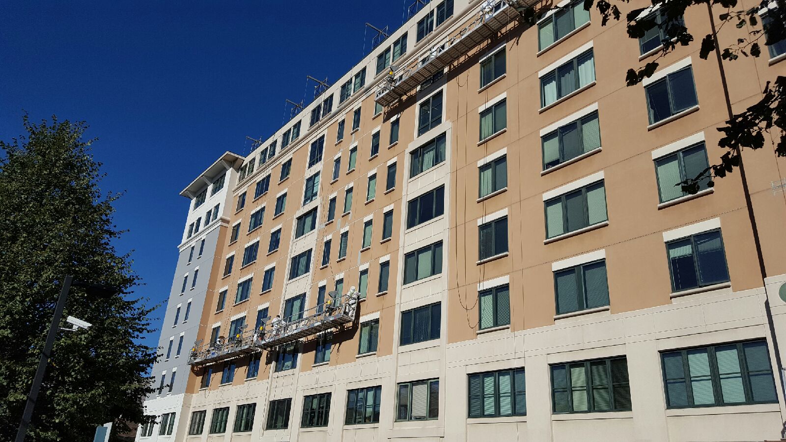Cambridge Apartments